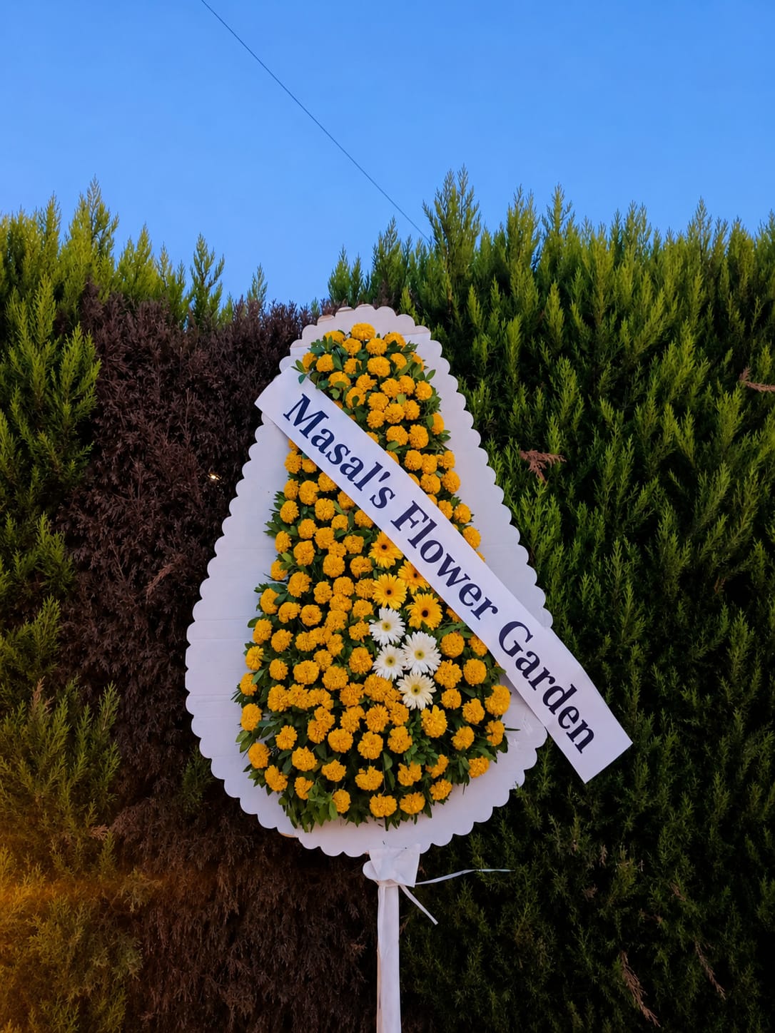 Sarı Cinya Tek Katlı Standart Kutlama Çelengi
